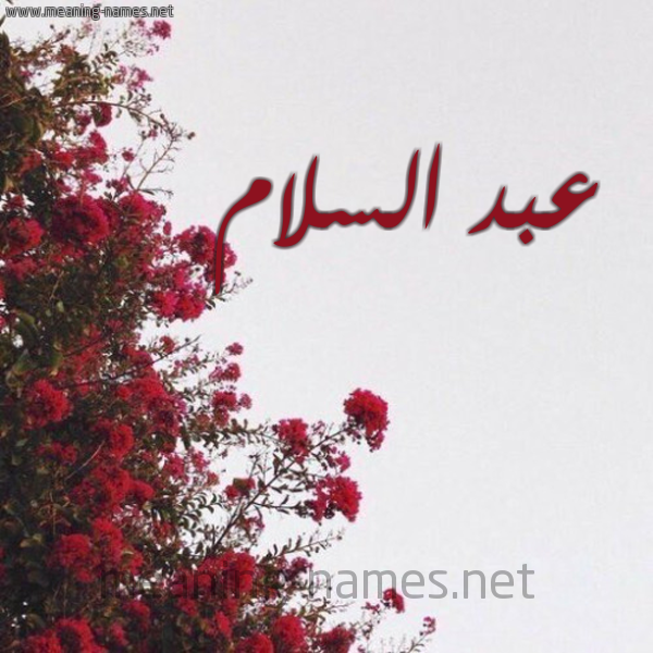 شكل 18 صوره الورد الأحمر للإسم بخط رقعة صورة اسم عبد السلام ABDESSALAM